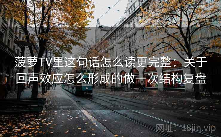 菠萝TV里这句话怎么读更完整：关于回声效应怎么形成的做一次结构复盘